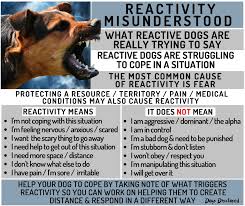 Dog reactivity understood